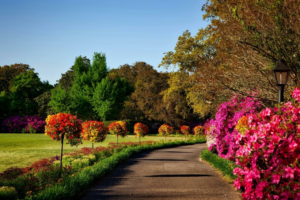 Scenic paved walking trail in Ashburn park, surrounded by lush greenery, trees, and colorful flowering plants, perfect for outdoor recreation in Loudoun County.