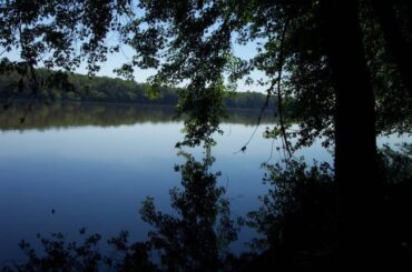 Elizabeth Mills Riverfront Park