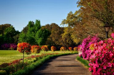 The Great Outdoors of Ashburn: Exploring Local Parks and Trails in Loudoun County, VA